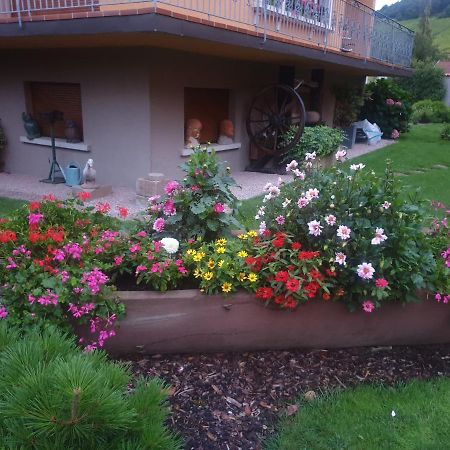 Appartamento La Rocatelle Andlau-au-Val Esterno foto