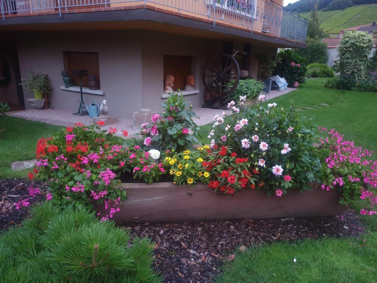 Appartamento La Rocatelle Andlau-au-Val Esterno foto