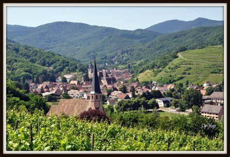 Appartamento La Rocatelle Andlau-au-Val Esterno foto