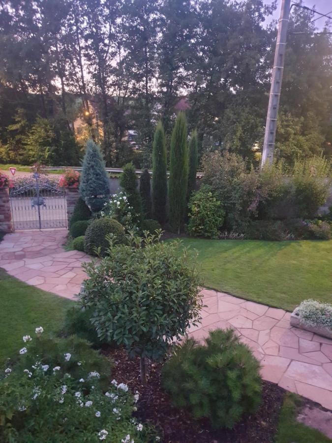 Appartamento La Rocatelle Andlau-au-Val Esterno foto